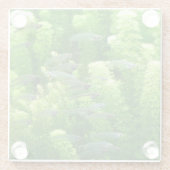 透明な銀魚の群れ ガラスコースター (裏面)