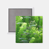 透明な銀魚の群れ マグネット (正面/裏面)