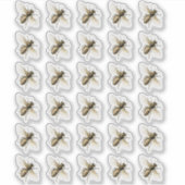 透明または白色のヴィンテージミツバチのステッカー シール (正面)