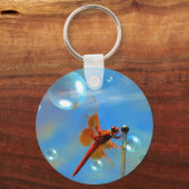 透明赤トンボ キーホルダー (正面)