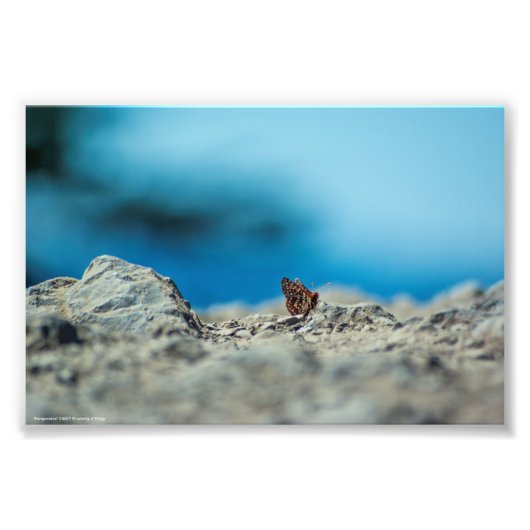 透視図 フォトプリント            (正面)