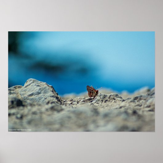 透視図 ポスター (正面)