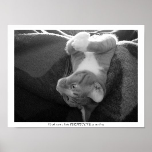 透視図 ポスター (正面)