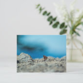 透視図 ポストカード (スタンド正面)