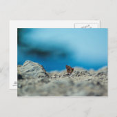 透視図 ポストカード (正面/裏面)