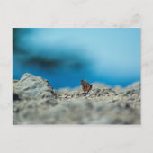 透視図 ポストカード (正面)