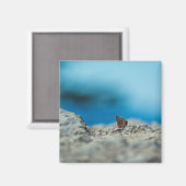 透視図 マグネット (正面/裏面)