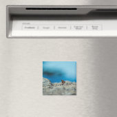 透視図 マグネット (インサイチュ (食洗機))