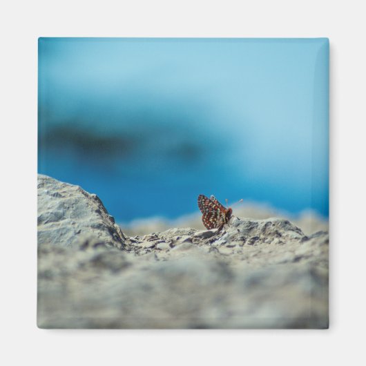 透視図 マグネット (正面)