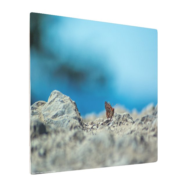 透視図 メタルプリント (アングル)