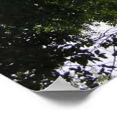 透視投影 – Woodland Photo ポスター (角)