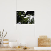 透視投影 – Woodland Photo ポスター (キッチン)