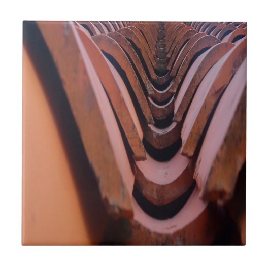 透視素朴可能な屋根タユニークイル タイル (正面)