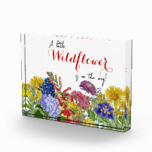 途中の小さなヤツワリのベビーの開花標識