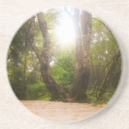 途中… コースター (正面)