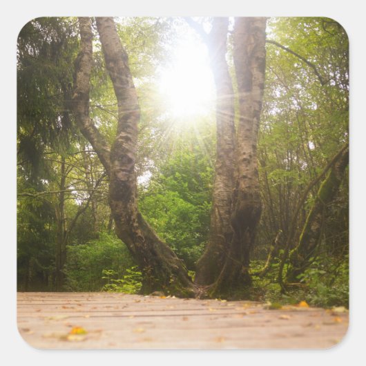 途中… スクエアシール (正面)