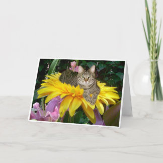 通りの明るい側面 カード