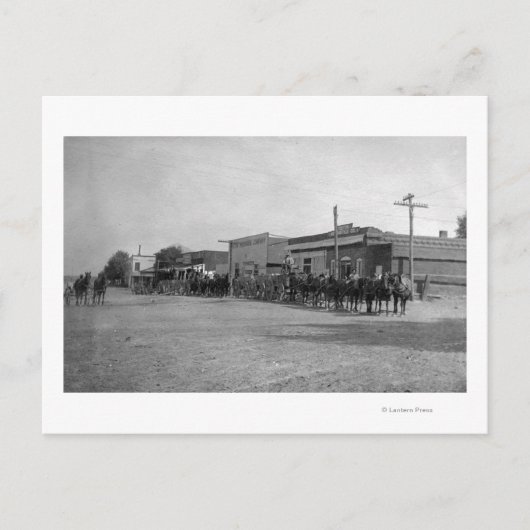 通りの馬車隊の表示 ポストカード (正面)