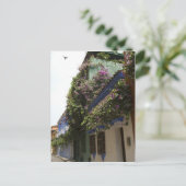 通りインカルタヘナ ポストカード (スタンド正面)