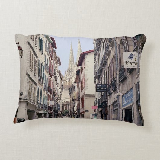 通りインバイヨンヌ アクセントクッション (裏面)