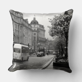 通りエレガントビュー クッション