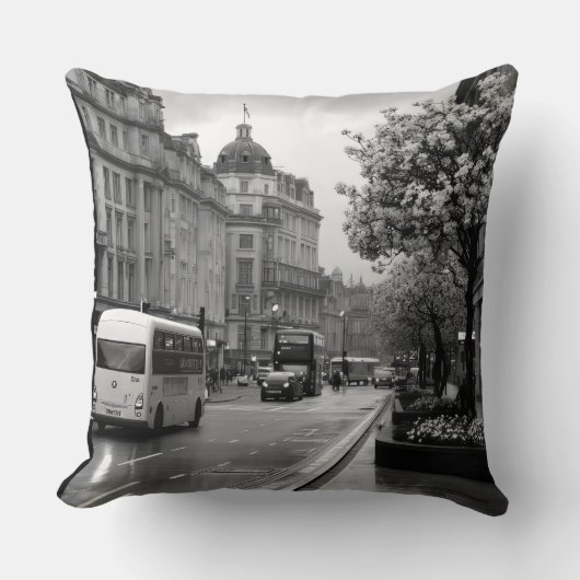 通りエレガントビュー クッション (正面)