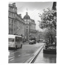 通りエレガントビュー