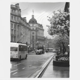 通りエレガントビュー フリースブランケット