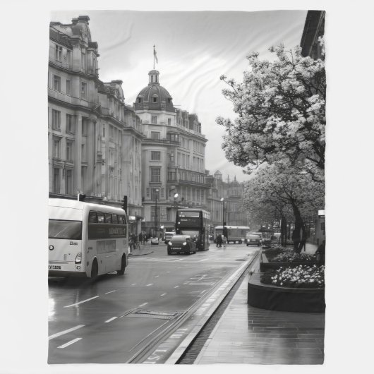 通りエレガントビュー フリースブランケット (正面)