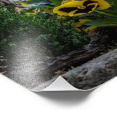 通りカラフルインRothenburgオブデアタウバー フォトプリント (角)