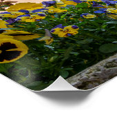 通りカラフルインRothenburgオブデアタウバー ポスター (コーナー)