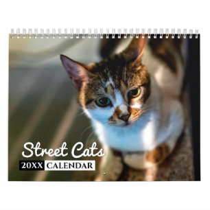通りキャッツ2022フォトウォールカレンダー カレンダー
