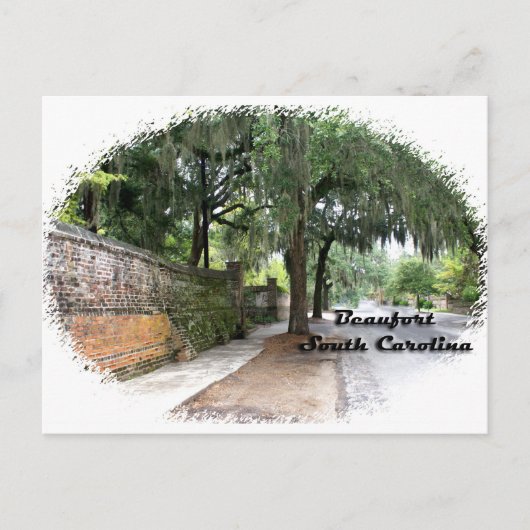 通りシーン、ボーフォートSC ポストカード (正面)