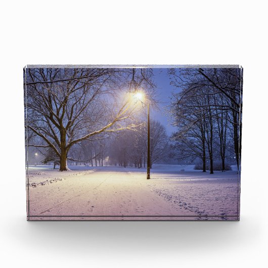 通りライトと雪の木で覆われた フォトブロック (正面)