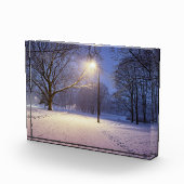 通りライトと雪の木で覆われた フォトブロック (右)