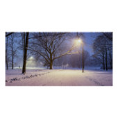 通りライトと雪の木で覆われた ポスター (正面)