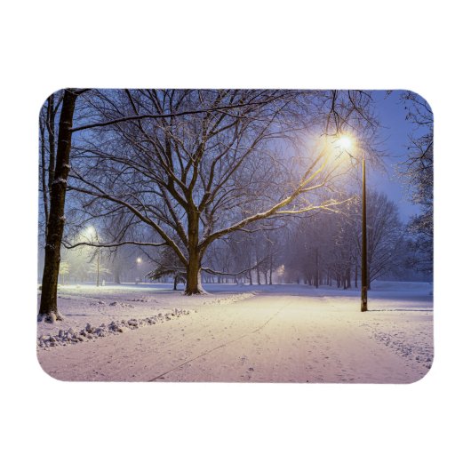 通りライトと雪の木で覆われた マグネット (横)