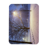 通りライトと雪の木で覆われた マグネット (縦)