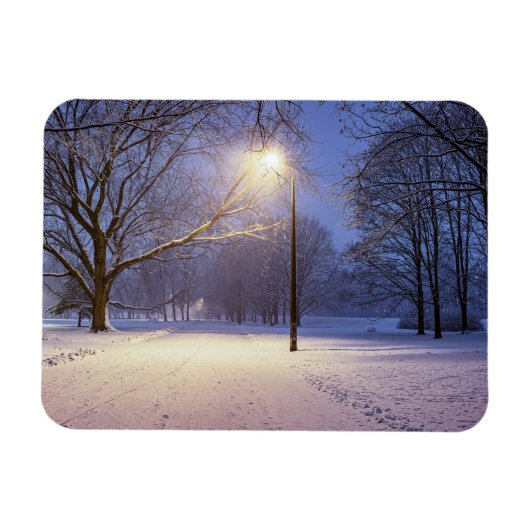 通りライトと雪の木で覆われた マグネット (横)