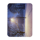 通りライトと雪の木で覆われた マグネット (縦)