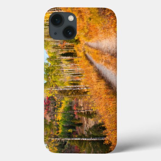 通り抜けの紅葉 Case-Mate iPhoneケース (裏面)