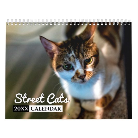 通り猫フォトウォールカレンダー カレンダー (カバー)