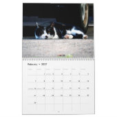 通り猫フォトウォールカレンダー カレンダー (2月 2027)
