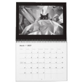 通り猫写真 カレンダー (3月 2027)