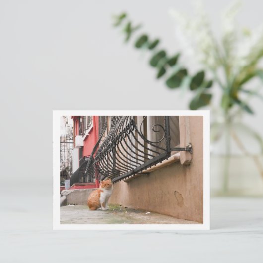 通り猫1 ポストカード (スタンド正面)
