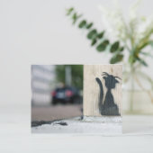 通り猫 ポストカード (スタンド正面)