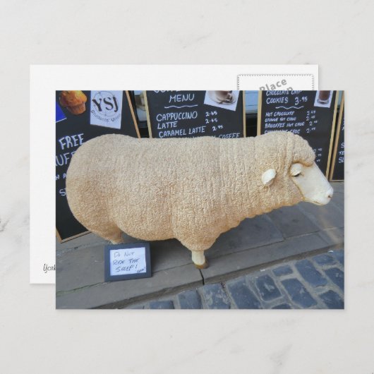 通り羊 ポストカード (正面/裏面)