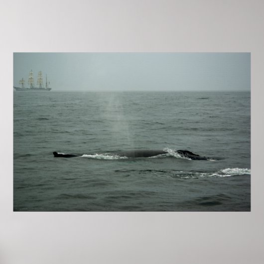 通り過ぎるプリント ポスター (正面)