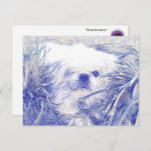 通信空白のカードfeat."Peter Rottentail" ノートカード (正面/裏面)