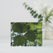 通常の自然はがき ポストカード (スタンド正面)